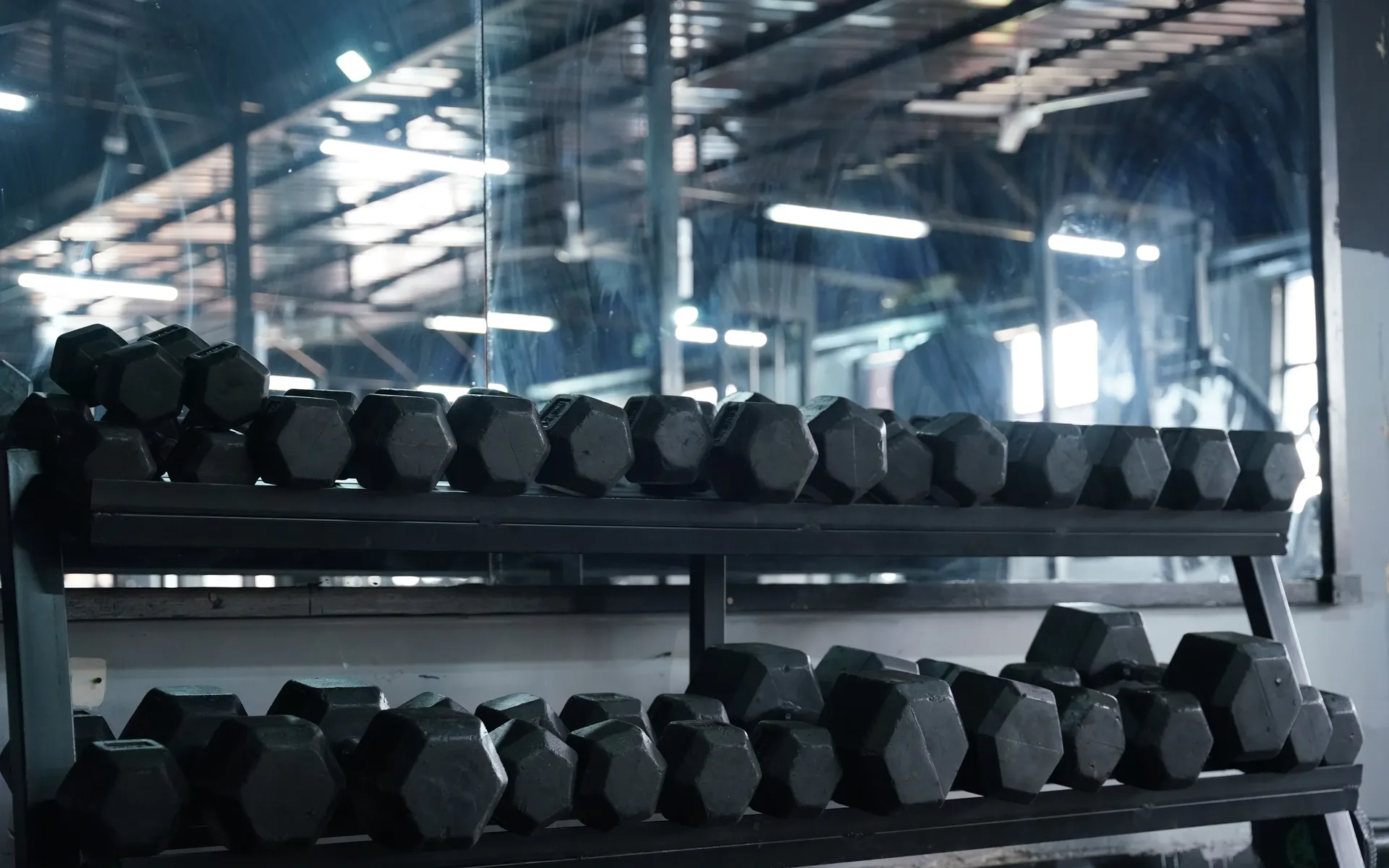 Dumbbell rack at Muscle Fitness GYM